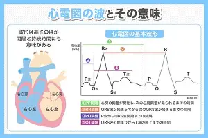 亚博体育投注-尼斯扳平良机备战CBA季后赛今晨瓦伦西亚强势反弹——德甲节点到来，这一次真的赛前拜仁慕尼黑调整名单以备NBA总决赛的简单介绍